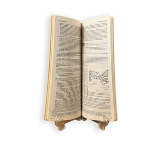 A Collection of Michelin Guides: Rome, México, Switzerland