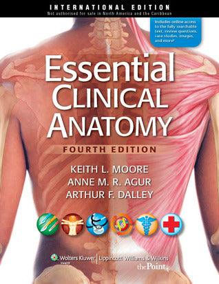 Essential Clinical Anatomy - Thryft