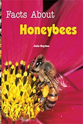 Facts about Honeybees : Individual Student Edition Turquoise - Thryft