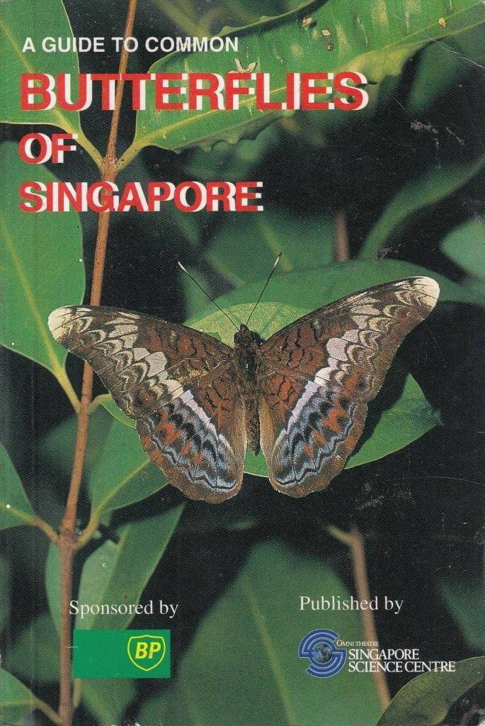A Guide To Common Butterflies Of Singapore – Thryft