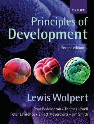 Principles of Development - Thryft