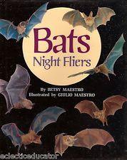 Bats - Night Fliers - Thryft