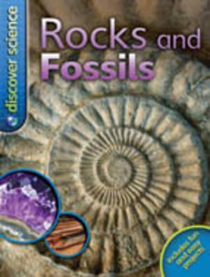 Rocks And Fossils - Thryft