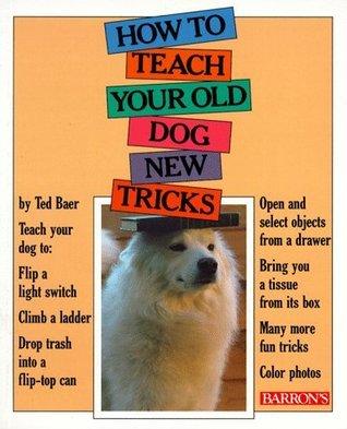 How To Teach Your Old Dog New Tricks - Thryft