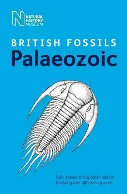 British Palaeozoic Fossils - Thryft