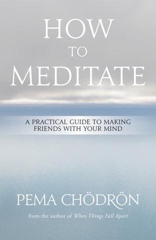 How to Meditate : A Practical Guide to Making Friends with Your Mind - Thryft