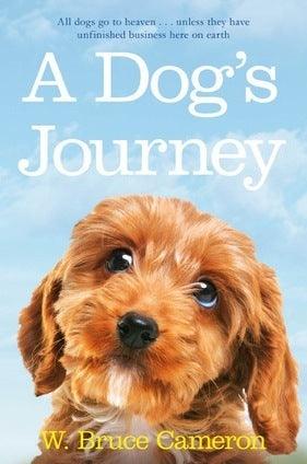 A Dog's Journey - Thryft