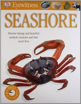 Seashore							- Eyewitness - Thryft