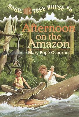 Afternoon On The Amazon - Thryft