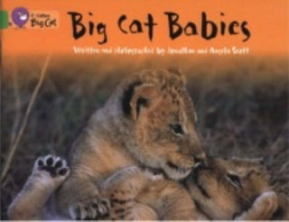 Big Cat Babies