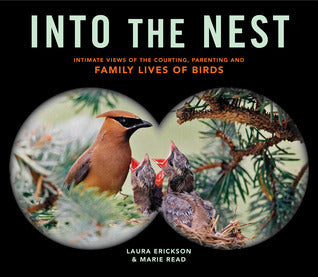 Into the Nest - Intimate Views of the Courting, Parenting, and Family Lives of Familiar Birds