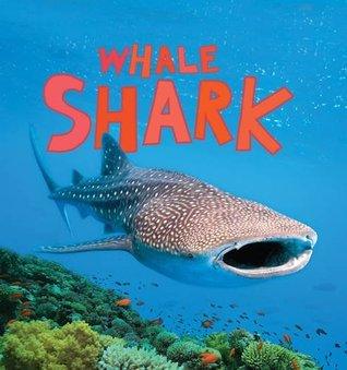 Whale Shark - Thryft