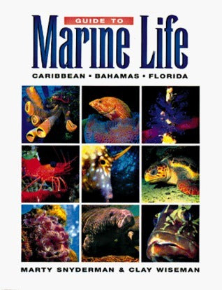 Guide to Marine Life: Caribbean, Bahamas, Florida