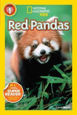 Red Pandas - National Geographic Readers