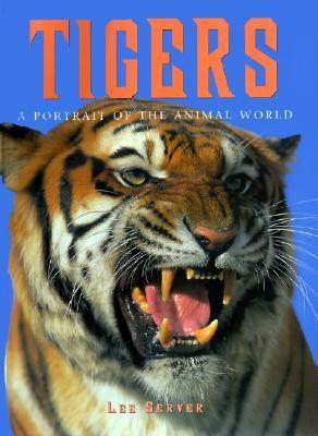 Tigers - A Portrait of the Animal World