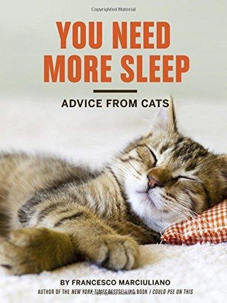 You Need More Sleep : Advice From Cats - Thryft