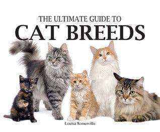 The Ultimate Guide to Cat Breeds - Thryft