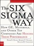 The Six Sigma Way - Thryft