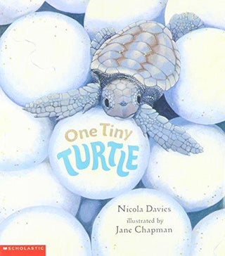 One Tiny Turtle - Thryft