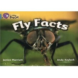 Fly Facts