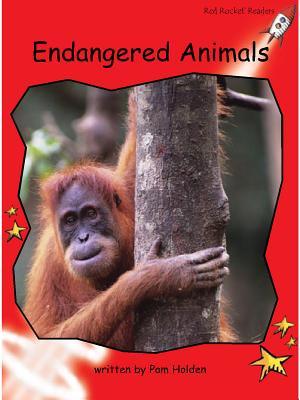 Red Rocket Readers: Early Level 1 Non-Fiction Set C: Endangered Animals