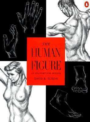 The Human Figure : An Anatomy for Artists - Thryft