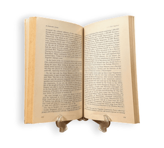 An Ambassador's Journey - Thryft