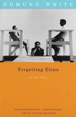 Forgetting Elena : A Novel - Thryft