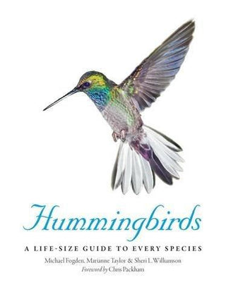 Hummingbirds - A Life-Size Guide To Every Species - Thryft