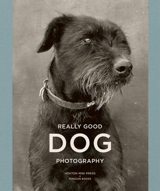 Really Good Dog Photography - Thryft