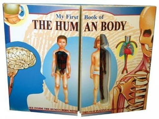 My First Book of the Human Body - Thryft