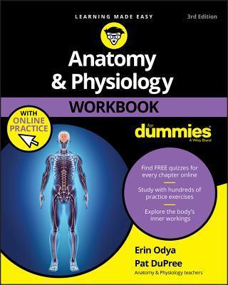 Anatomy & Physiology Workbook For Dummies with Online Practice - Thryft