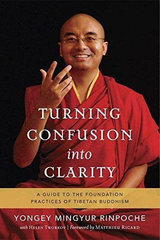 Turning Confusion into Clarity : A Guide to the Foundation Practices of Tibetan Buddhism (SAE) - Thryft