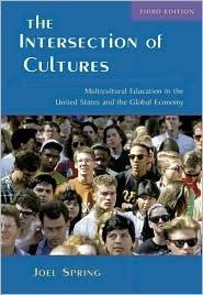 The Intersection of Cultures: Multicultural Education in the United States and the Global Economy - Thryft