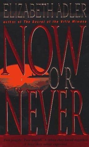 Now or Never : A Novel - Thryft