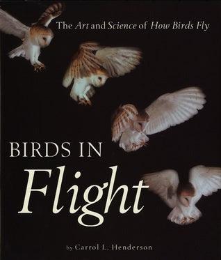 Birds in Flight : The Art and Science of How Birds Fly - Thryft