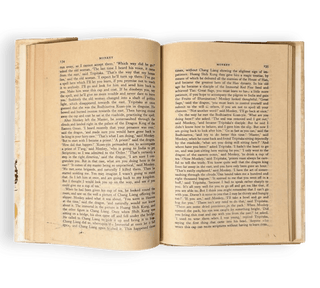 The Adventures of Monkey - Thryft