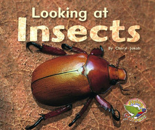 Looking at Insects - Flying Colours