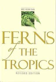 Ferns of the Tropics