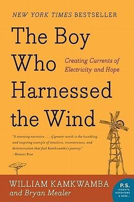 Boy Who Harnessed the Wind - Thryft