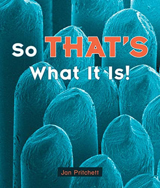 Rigby Literacy Early Level 2: So That's What It Is! (Reading Level 8/F&P Level E)