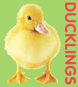 Photographic Shaped Board Book : Ducklings - Thryft