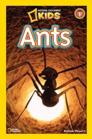 National Geographic Kids Readers: Ants - Thryft