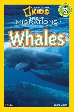 Great Migrations: Whales - National Geographic Kids Readers: Level 3