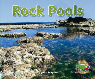 Rock Pools - Flying Colours