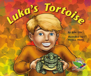 Luka's Tortoise - Flying Colours