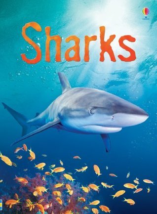 Sharks - Usborne Beginners: Information for Young Readers