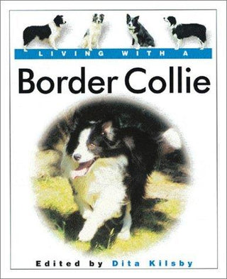 Living with a Border Collie - Thryft