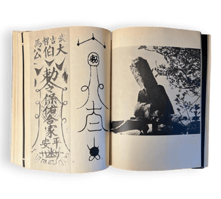 Tao Magic: The Secret Language of Diagrams and Calligraphy - Thryft