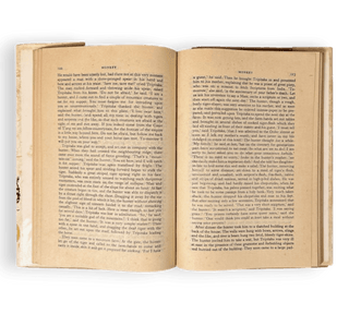 The Adventures of Monkey - Thryft